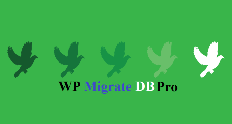 WP Migrate DB Pro discount