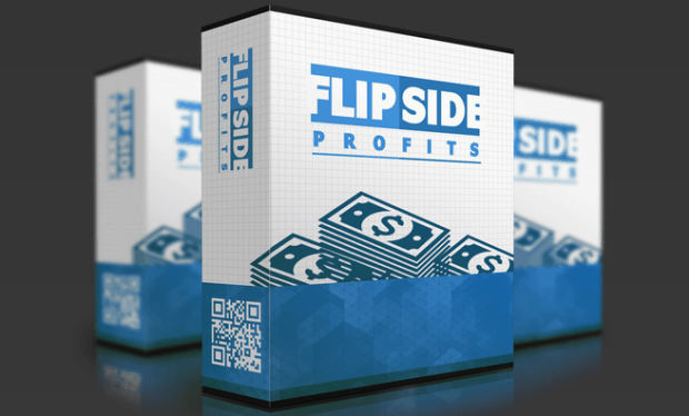 Flipside Profits discount