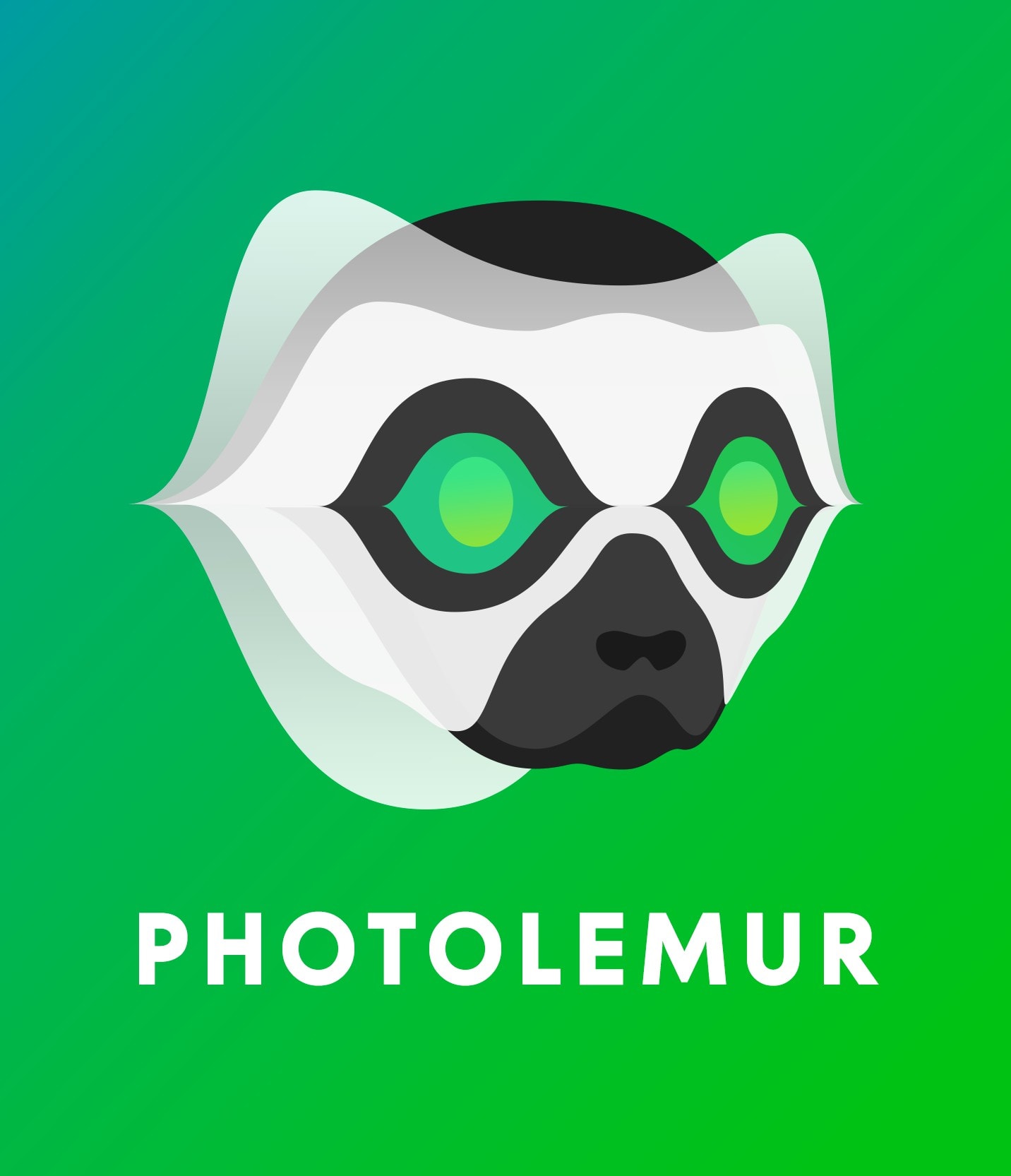 Photolemur