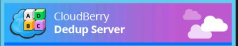 CloudBerry Dedup Server