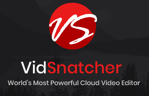 VidSnatcher