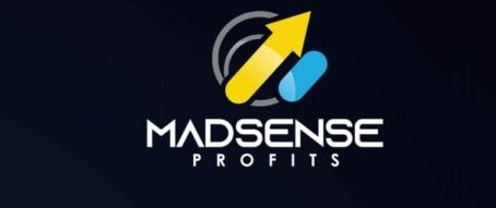 Madsense Profits